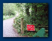 Is that a DF car I see through the trees?